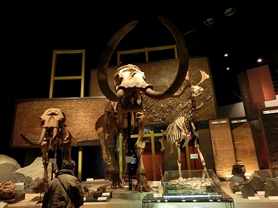 d0138650_21585537.jpg