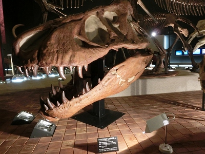 d0138650_2285262.jpg