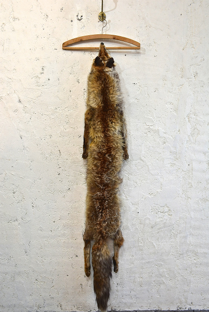 Fox muffler_f0226051_16553337.jpg