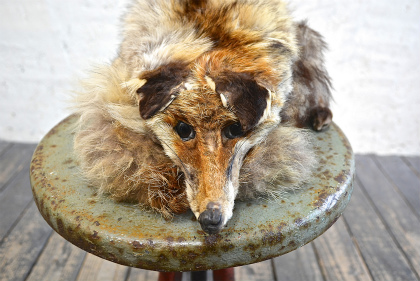 Fox muffler_f0226051_16561156.jpg