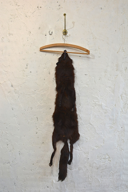 Fox muffler_f0226051_165804.jpg