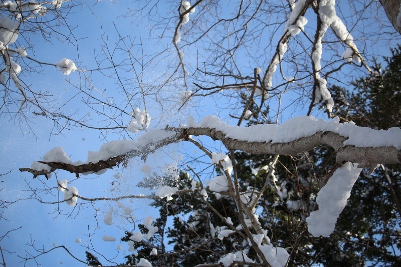 b0250154_22591669.jpg