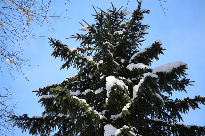 b0250154_22594548.jpg