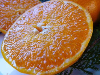究極の柑橘「せとか」　2か月後の収穫に向け、水・温度管理、退色防止、トゲ対策のお話_a0254656_18542627.jpg