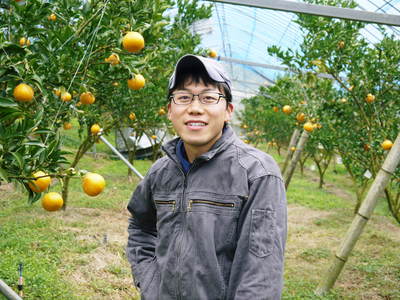 究極の柑橘「せとか」　2か月後の収穫に向け、水・温度管理、退色防止、トゲ対策のお話_a0254656_20204936.jpg