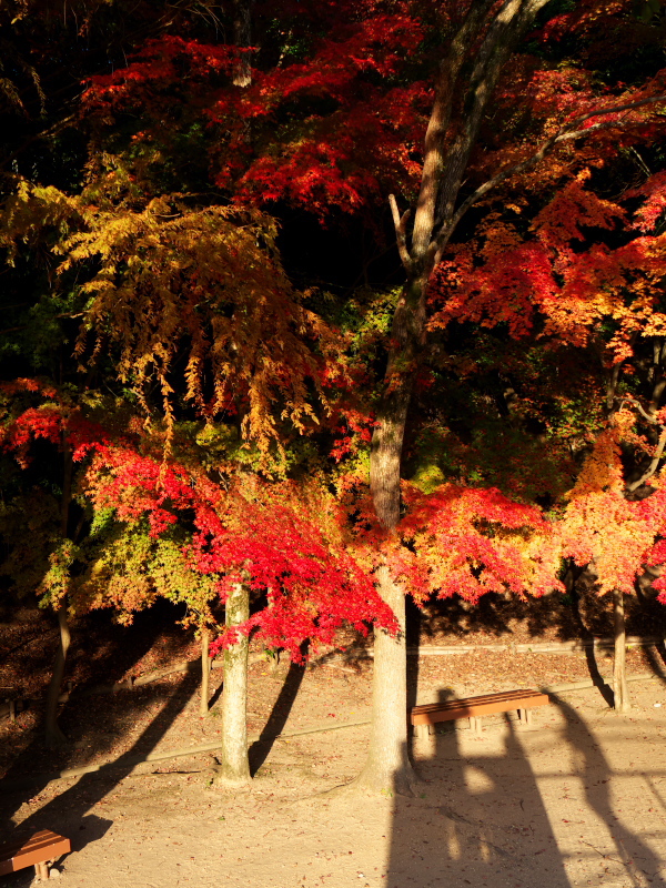 奥須磨公園_d0226756_1133187.jpg