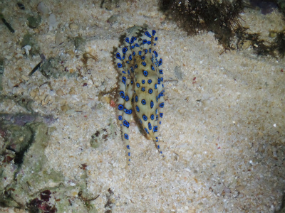 c0180460_13435560.jpg