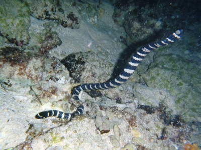 c0180460_13565426.jpg