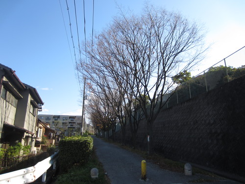 f0256164_1241969.jpg