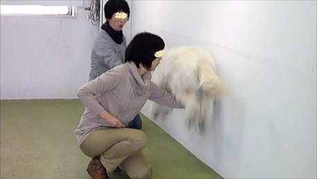 e0161972_822843.png