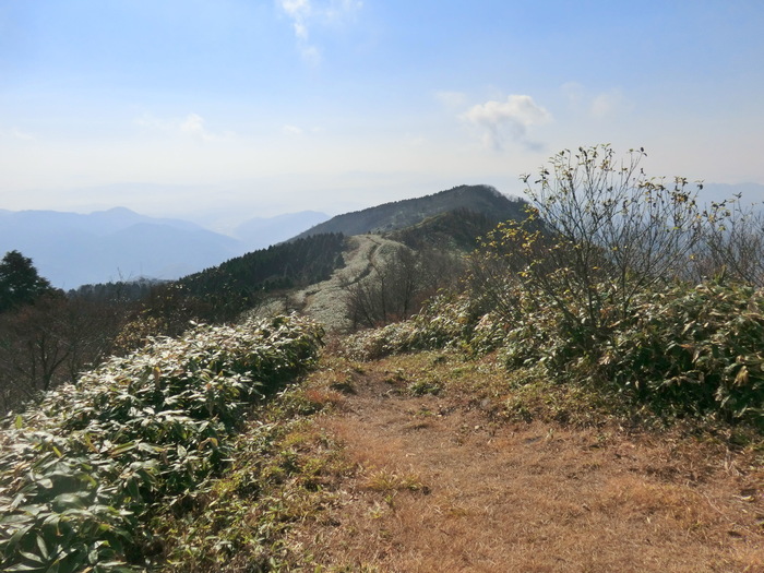 b0185573_1314954.jpg