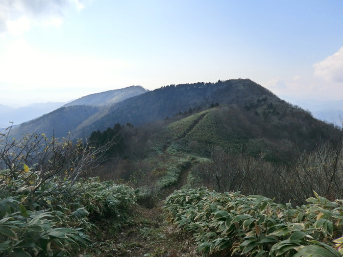 b0185573_1461195.jpg