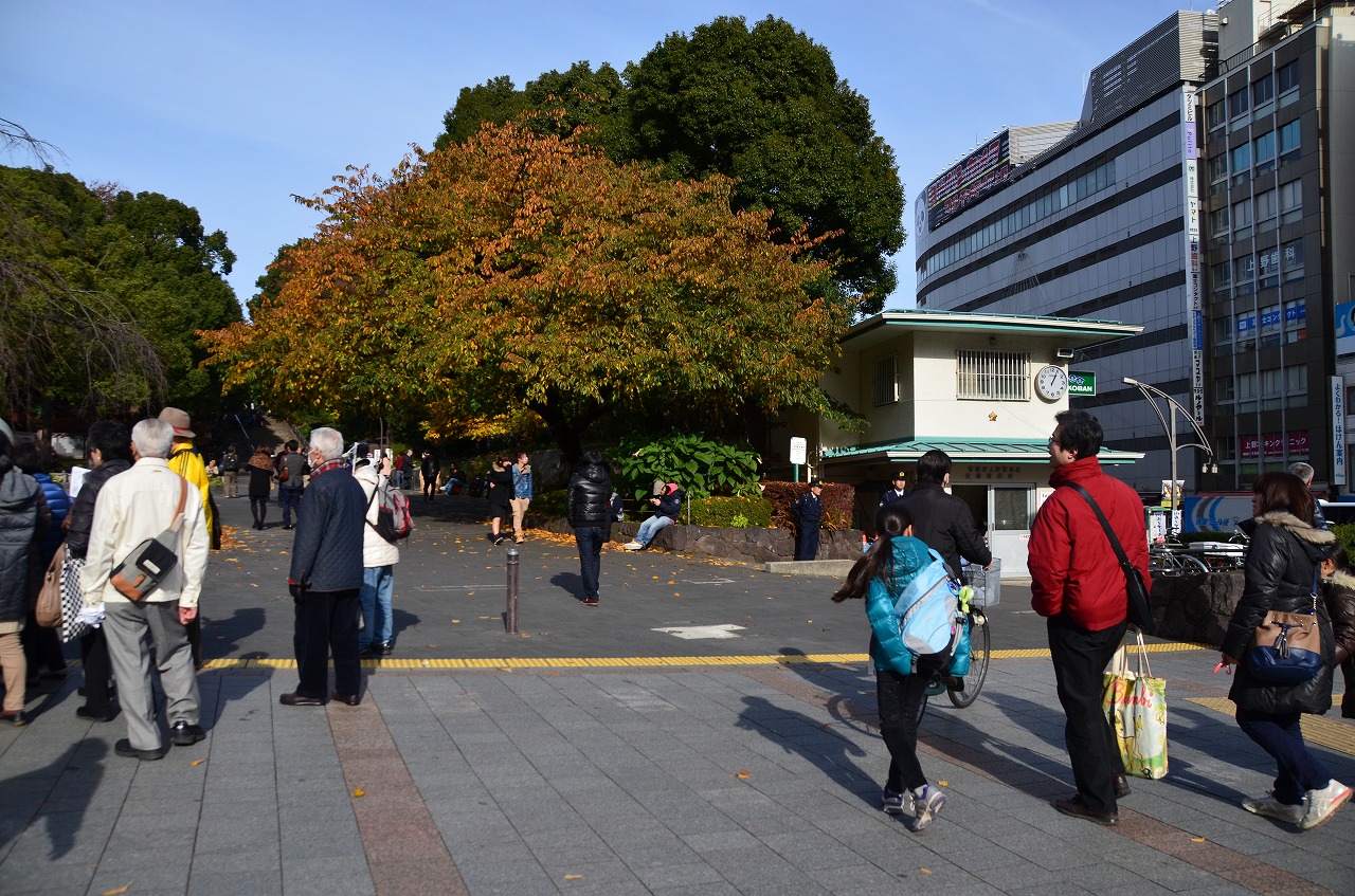 広重『名所江戸百景』めぐり　上野・日暮里コース_b0338976_1544989.jpg