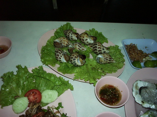 a0002177_12385167.jpg