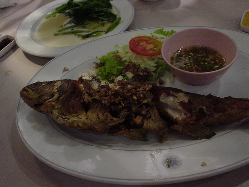 a0002177_1242442.jpg