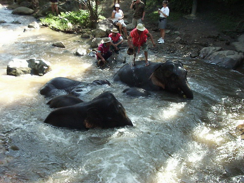 a0002177_12502655.jpg