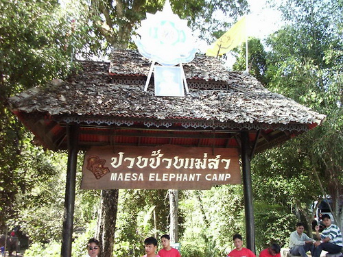 a0002177_12503944.jpg