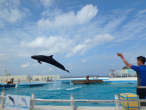 沖縄那覇暮らし⑫　最終話：輝きの海との別れ_f0155477_15344318.jpg