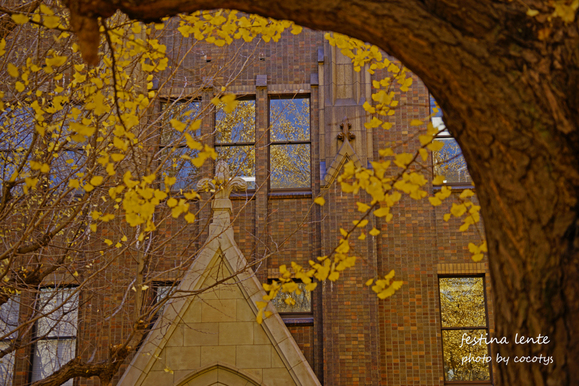 f0240595_21441137.jpg