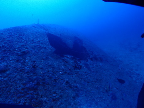 e0115199_20293085.jpg