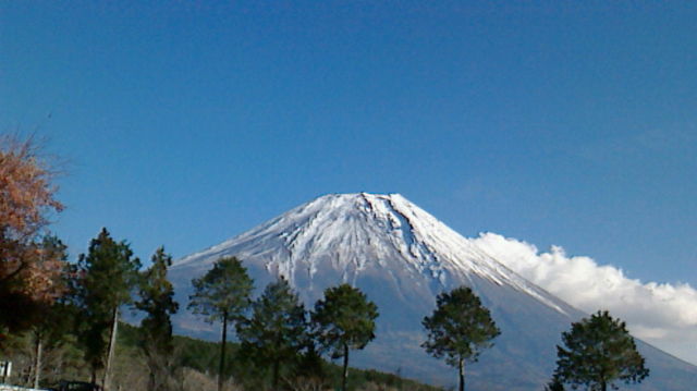 c0074000_14584446.jpg