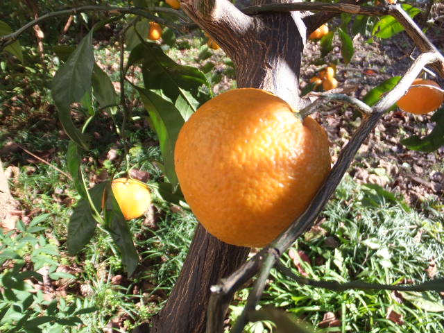 a0271502_15314035.jpg