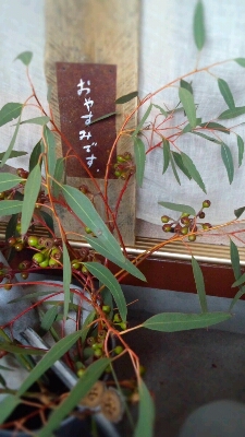 c0130705_9422746.jpg