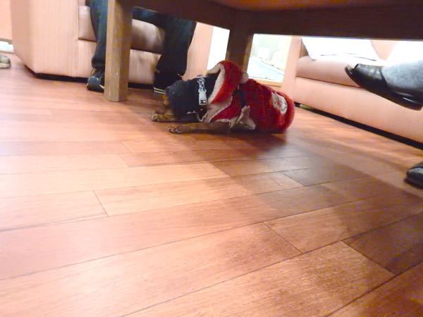 f0329311_10289.jpg