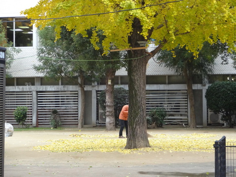 b0300819_1243915.jpg