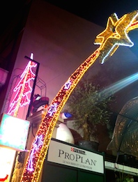 Noël à Chatou - パリ郊外、花屋さんとクリスマス_a0231632_15392543.jpg
