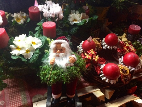 Noël à Chatou - パリ郊外、花屋さんとクリスマス_a0231632_15553368.jpg