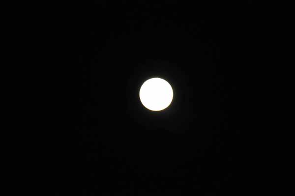 e0097534_9172659.jpg