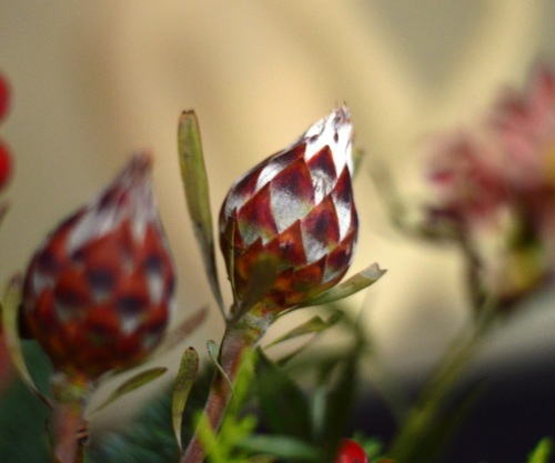 a0155036_13031581.jpg