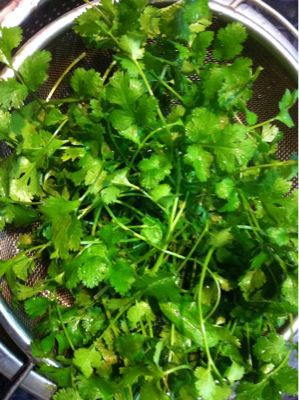 羊骨麺と香菜_f0140145_2012151.jpg