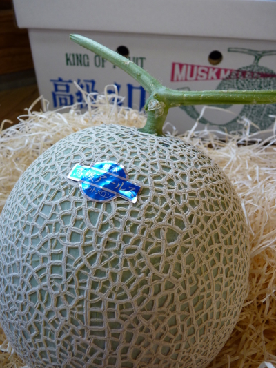 高級マスクメロン「アールスメロン」 本日初出荷!今年も良い仕上がりです!!(前編)_a0254656_17594536.jpg