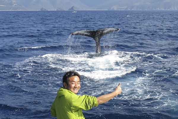 もうすぐ！奄美大島はホエールウオッチングの季節です！_b0062363_93286.jpg