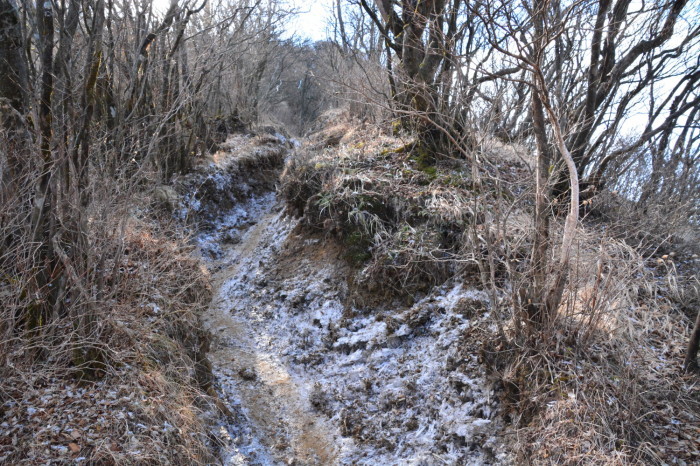 a0307264_11252703.jpg