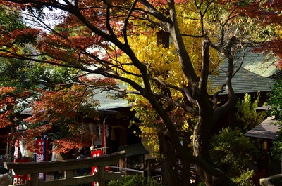 広重『名所江戸百景』めぐり　上野・日暮里コース_b0338976_1122393.jpg