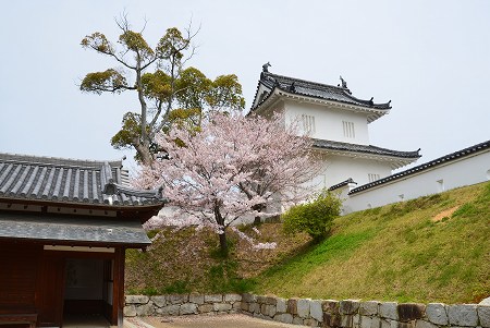 c0229483_23481236.jpg