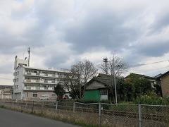 昼前から曇ってきました 開店前 2種類のコーヒー焙煎 自家焙煎コーヒー Gaya通信 昼前から曇ってきました 開店前 2種類のコーヒー焙煎 自家焙煎コーヒー Gaya通信