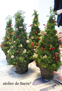 12月スペシャルイベント・ミニクリスマスツリー&ティーパーティー。_b0065587_14195339.jpg