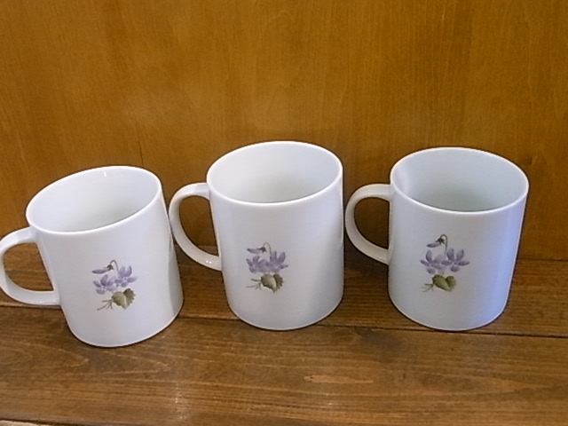 東急ハンズ梅田店インコと鳥の雑貨展山盛り新作到着!_d0322493_23263837.jpg
