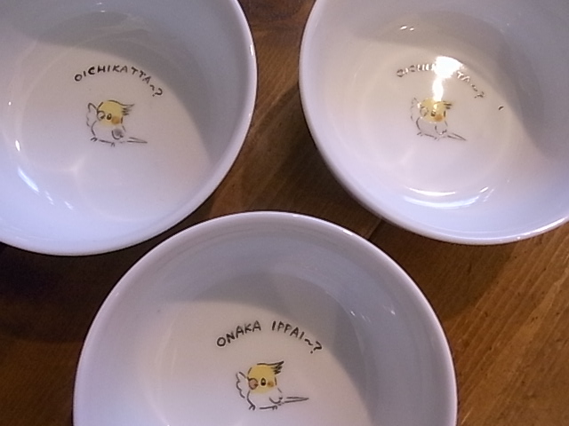 東急ハンズ梅田店インコと鳥の雑貨展山盛り新作到着!_d0322493_2327277.jpg