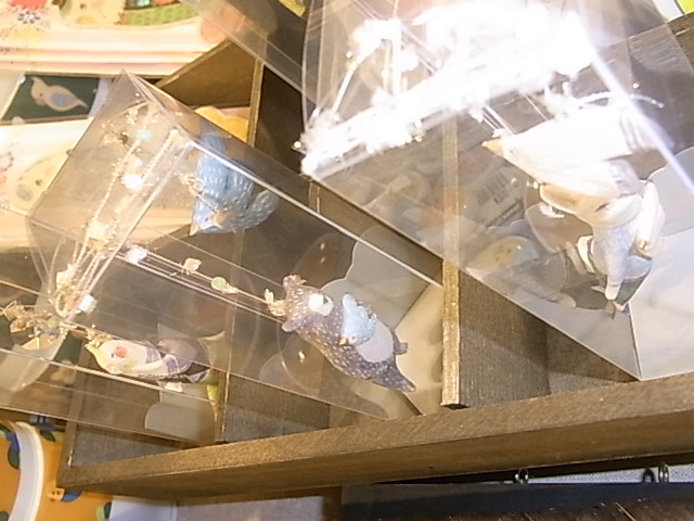 東急ハンズ梅田店インコと鳥の雑貨展山盛り新作到着!_d0322493_2333084.jpg