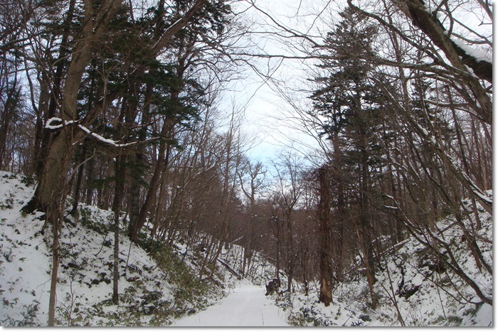 野幌大沢口12月11日_f0146493_11332590.jpg