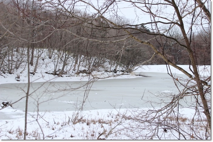 野幌大沢口12月11日_f0146493_11342451.jpg