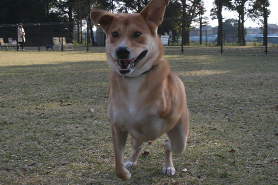 ランでRUNを楽しむ!(空海)_f0242002_0102246.jpg
