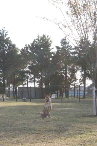 ランでRUNを楽しむ!(空海)_f0242002_0144588.jpg