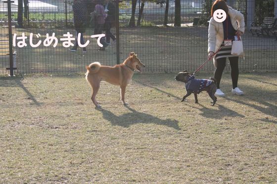 ランでRUNを楽しむ!(空海)_f0242002_025216.jpg