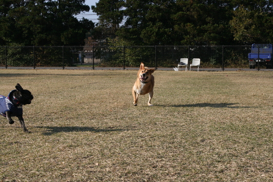 ランでRUNを楽しむ!(空海)_f0242002_0273670.jpg